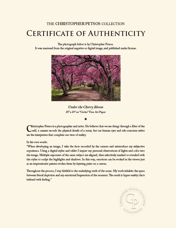 "Under the Cherry Bloom" Wall Art by Christopher Petsos