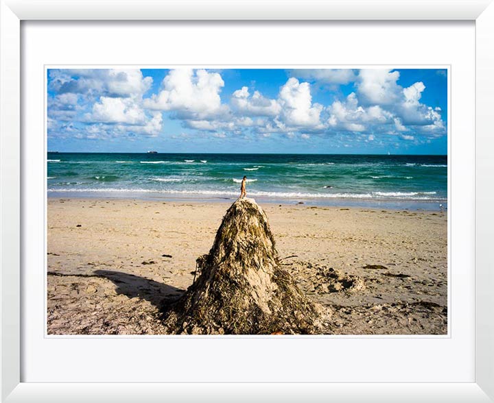 "Lummus Park, Miami Beach, Miami, FL" by Chris Suspect Photography