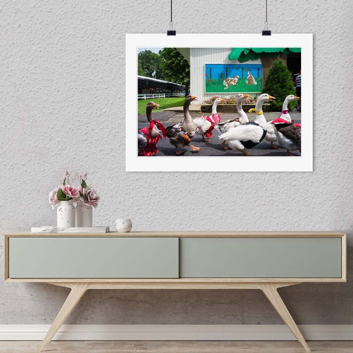 "16 Chestnut Street, Gaithersburg, MD" by Chris Suspect Photography-Artography Limited