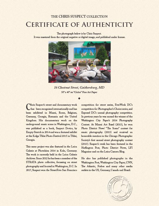 "16 Chestnut Street, Gaithersburg, MD" by Chris Suspect Photography-Artography Limited