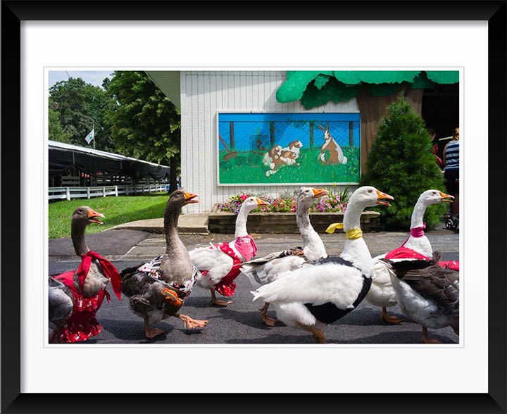 "16 Chestnut Street, Gaithersburg, MD" by Chris Suspect Photography