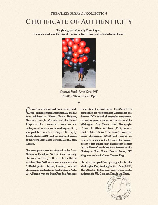 "Central Park, New York, NY" by Chris Suspect Photography-Artography Limited