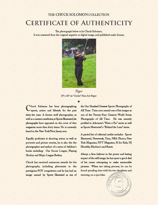 "Tiger" by Chuck Solomon Photography-Artography Limited