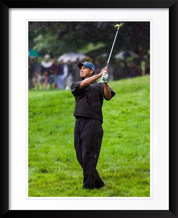 "Tiger" by Chuck Solomon Photography