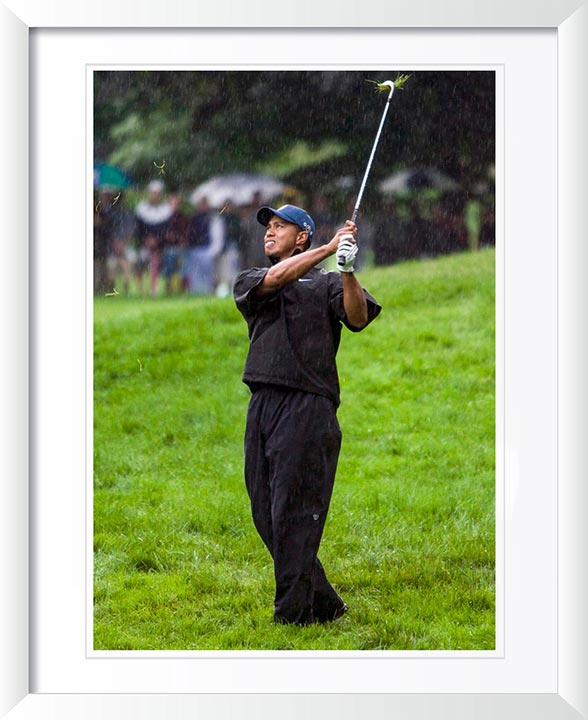 "Tiger" by Chuck Solomon Photography