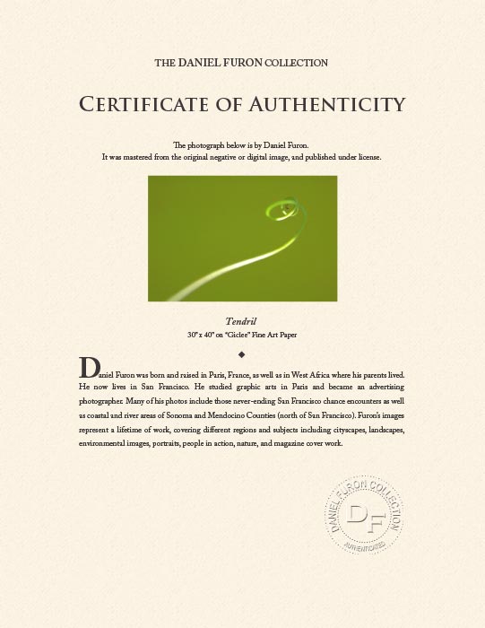 "Tendril" by Daniel Furon Photography-Artography Limited