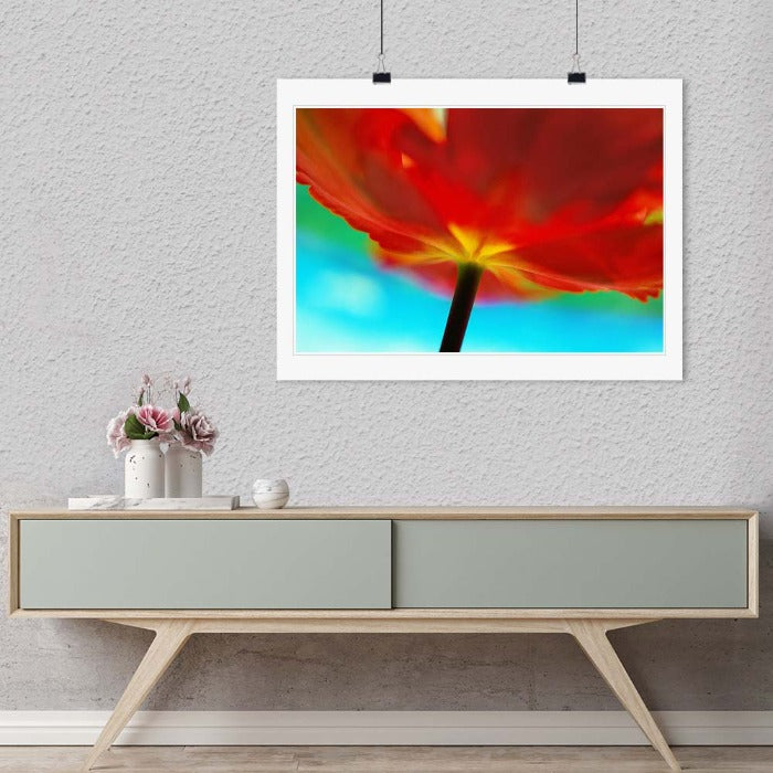 "Tulip, close up" by Daniel Furon Photography-Artography Limited