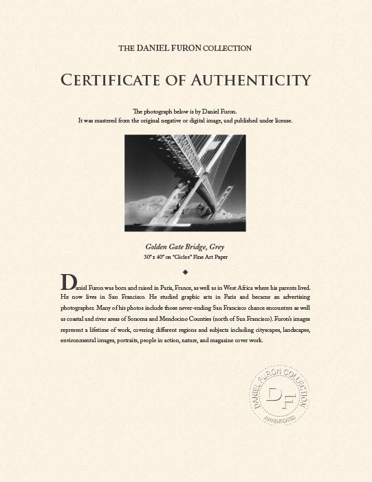 "Golden Gate Bridge, grey" by Daniel Furon Photography-Artography Limited