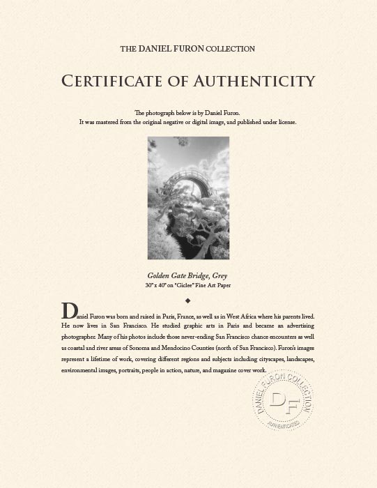 "Chinese Tea Garden" by Daniel Furon Photography-Artography Limited