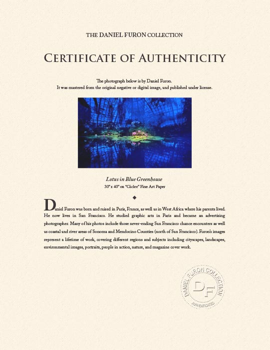 "Lotus in Blue Greenhouse" by Daniel Furon Photography-Artography Limited