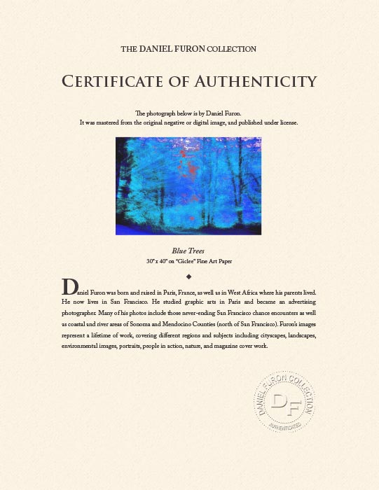 "Blue Trees" by Daniel Furon Photography-Artography Limited