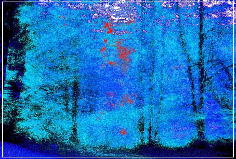 "Blue Trees" by Daniel Furon Photography-Artography Limited