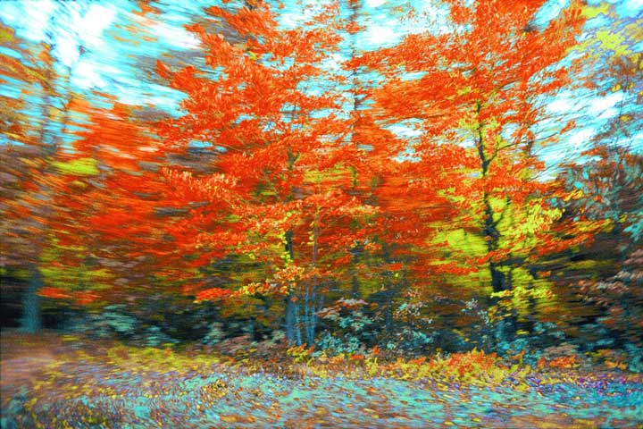 "Pennsylvania" by Daniel Furon Photography