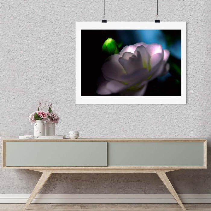 "Camellia" by Daniel Furon Photography-Artography Limited