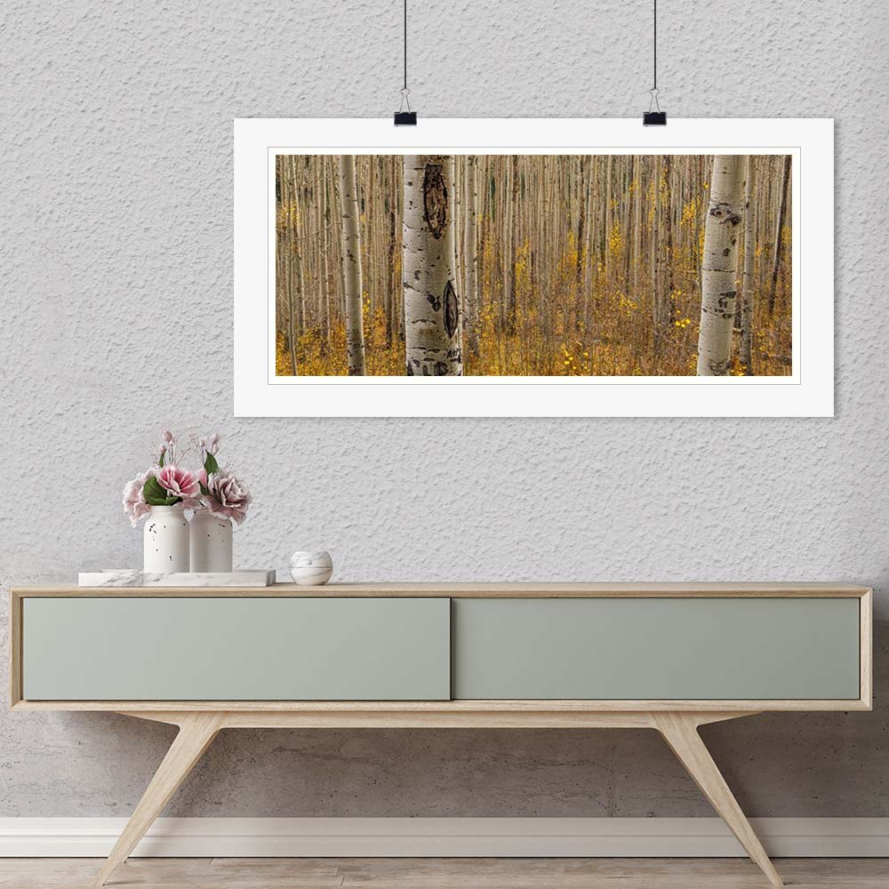 "Fall in the Birch Forest" by Dorte Verner Photography-Artography Limited