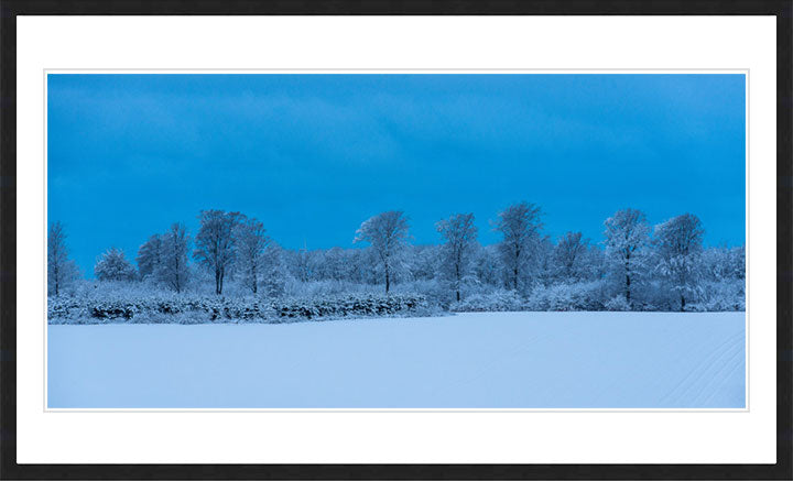 "Danish Winter Morning" by Dorte Verner Photography