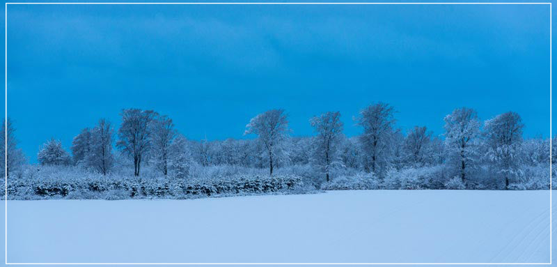 "Danish Winter Morning" by Dorte Verner Photography-Artography Limited