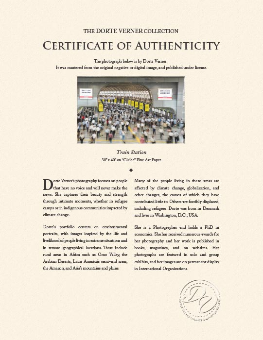 "Train Station" by Dorte Verner Photography-Artography Limited