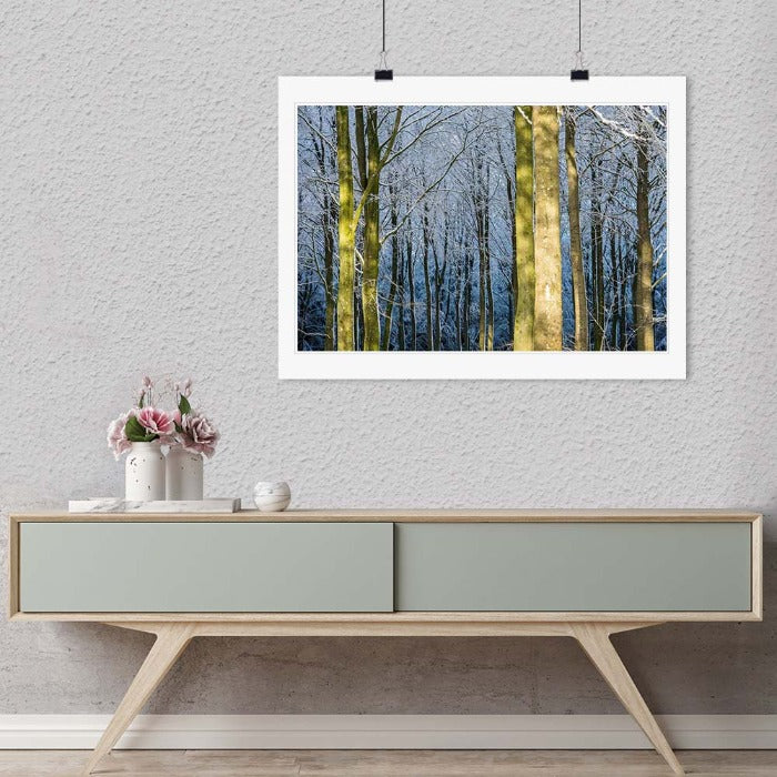 "Winter Light in the Forest" by Dorte Verner Photography-Artography Limited