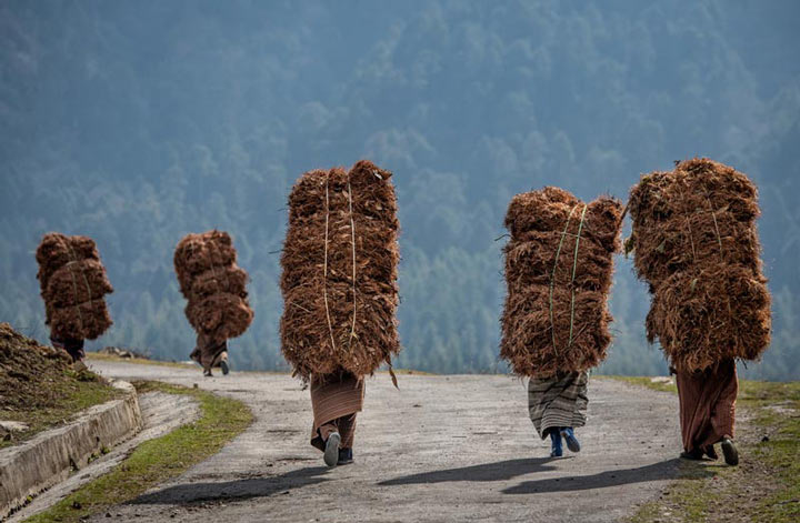 "Heavy Load" by Dorte Verner Photography