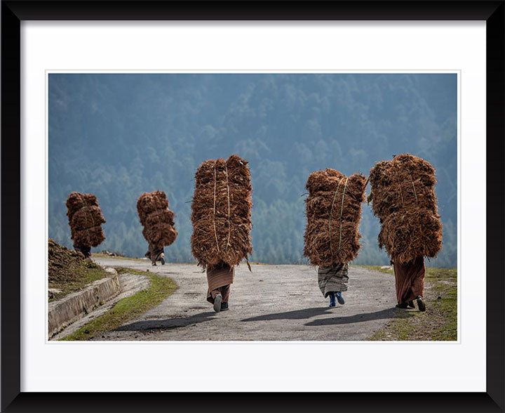 "Heavy Load" by Dorte Verner Photography