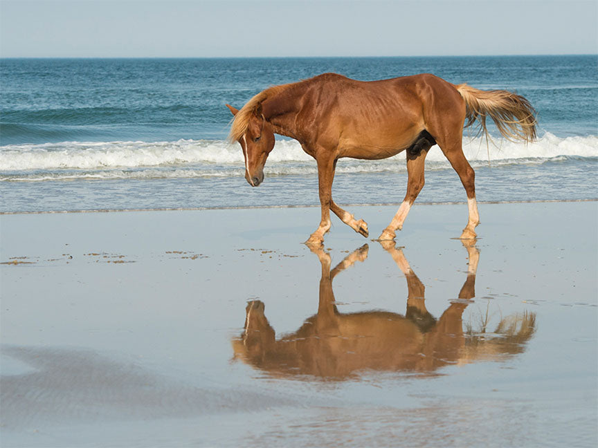 "Bay Reflection" by Eve Turek Photography