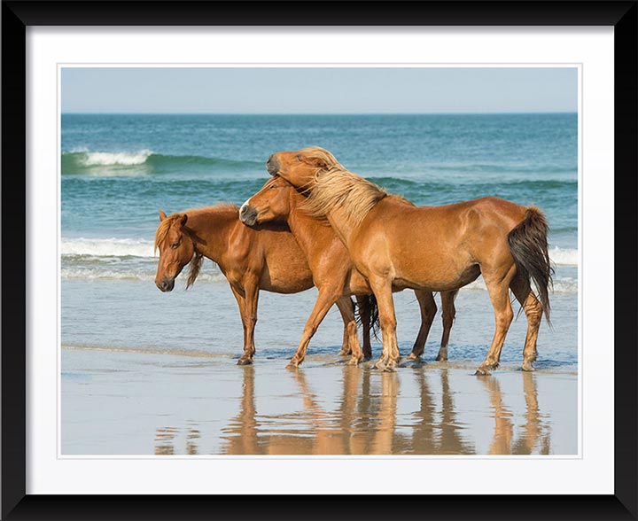 "My Tribe" by Eve Turek Photography