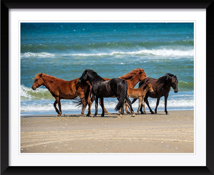 "Renzis Family" by Eve Turek Photography