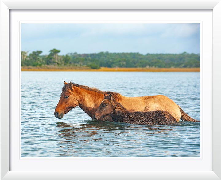 "Swim Practice" by Eve Turek Photography
