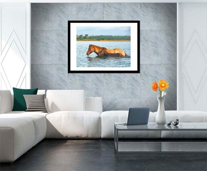 "Swim Practice" by Eve Turek Photography