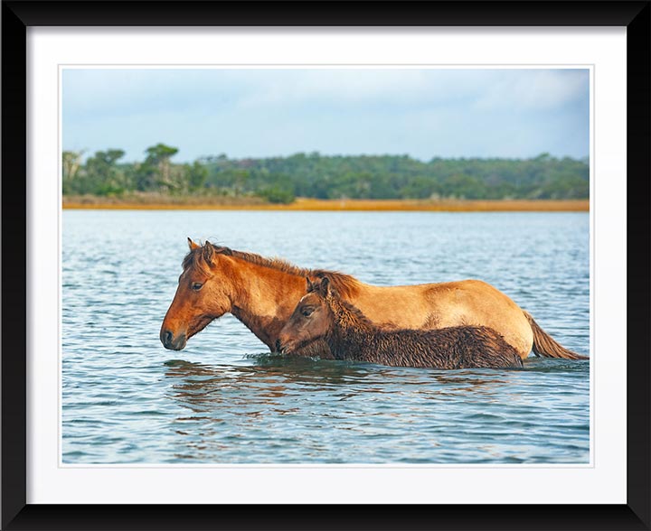 "Swim Practice" by Eve Turek Photography