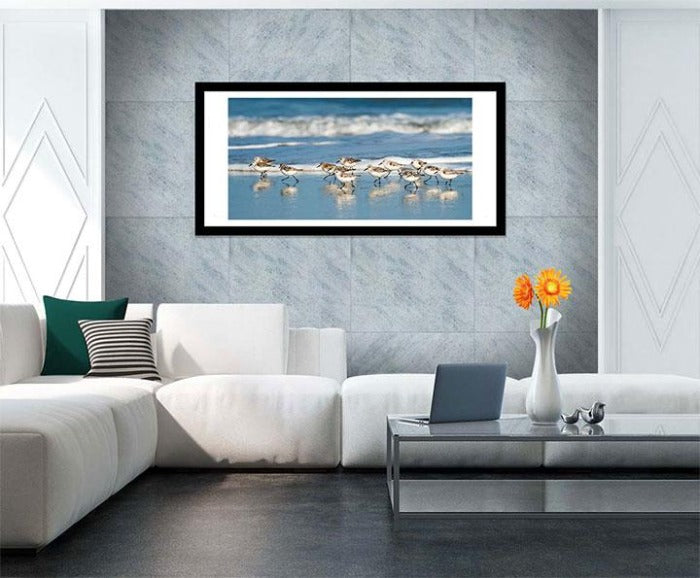 "Sanderling Relay" by Eve Turek Photography