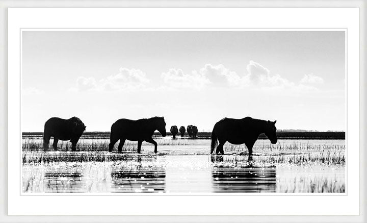 "Dawn Striders" by Eve Turek Photography