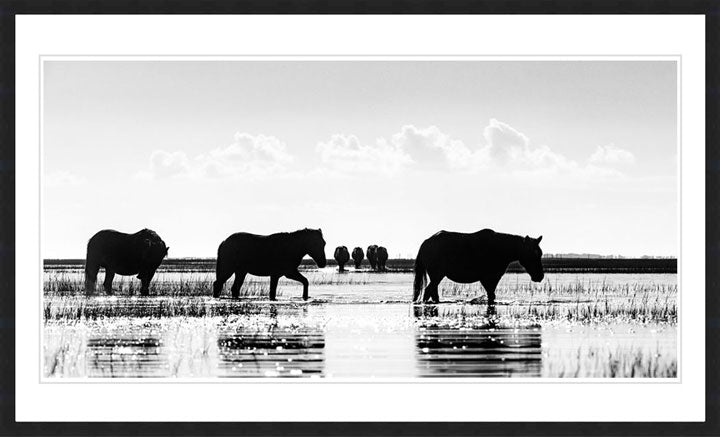 "Dawn Striders" by Eve Turek Photography