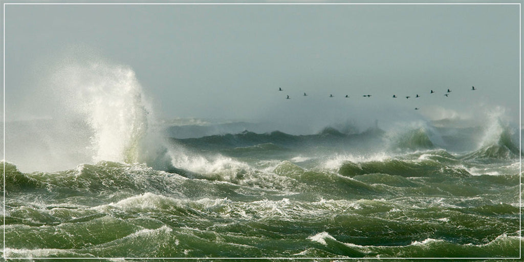 "Crossing The Bar" by Eve Turek Photography