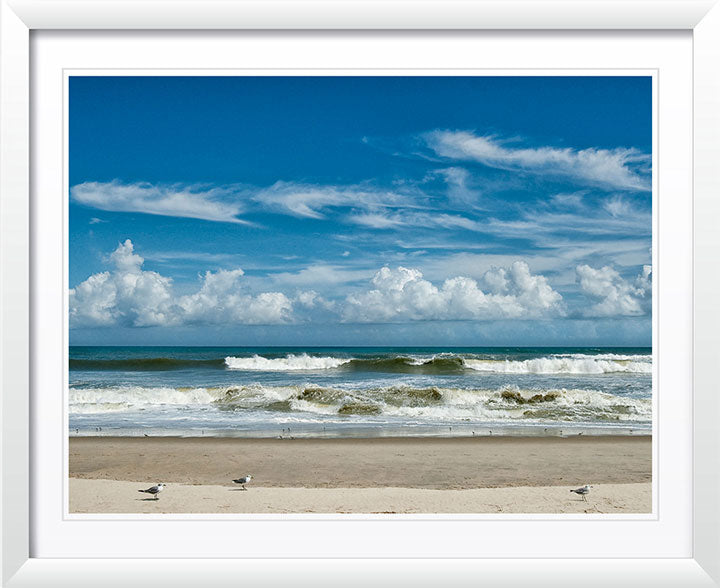 "Perfect Day" by Eve Turek Photography