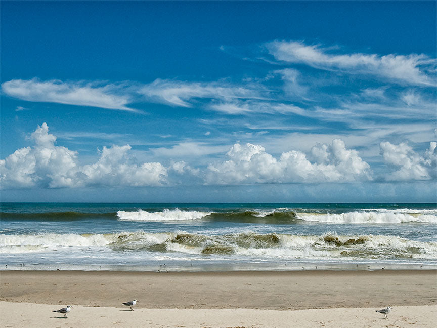 "Perfect Day" by Eve Turek Photography