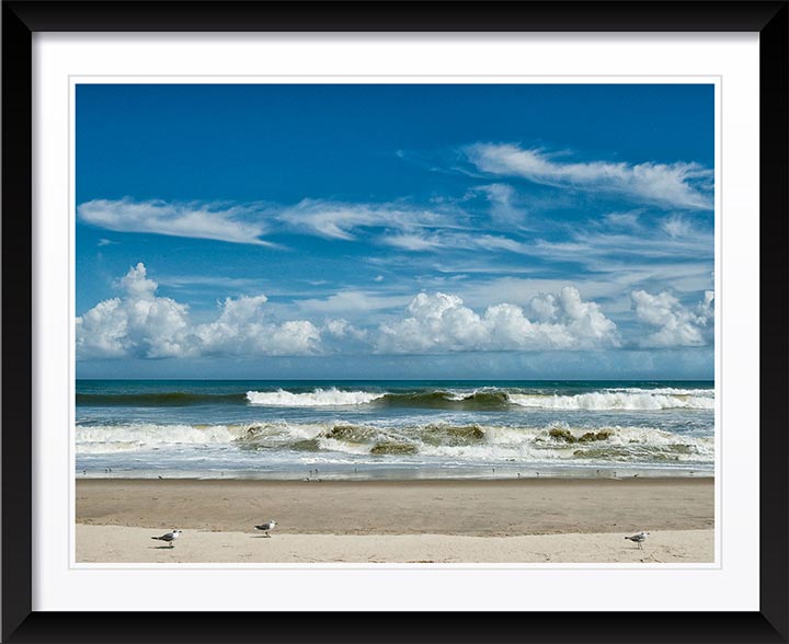 "Perfect Day" by Eve Turek Photography