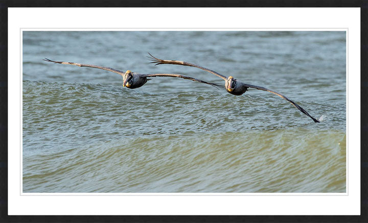 "Perfect Pairing" by Eve Turek Photography