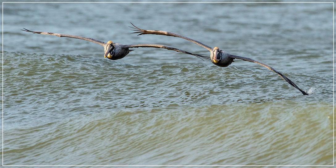 "Perfect Pairing" by Eve Turek Photography