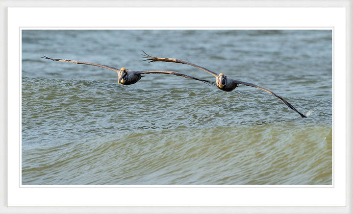 "Perfect Pairing" by Eve Turek Photography