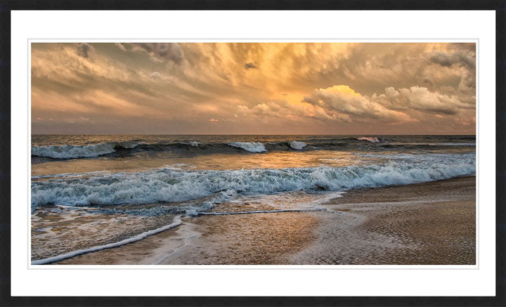 "Gilded" by Eve Turek Photography