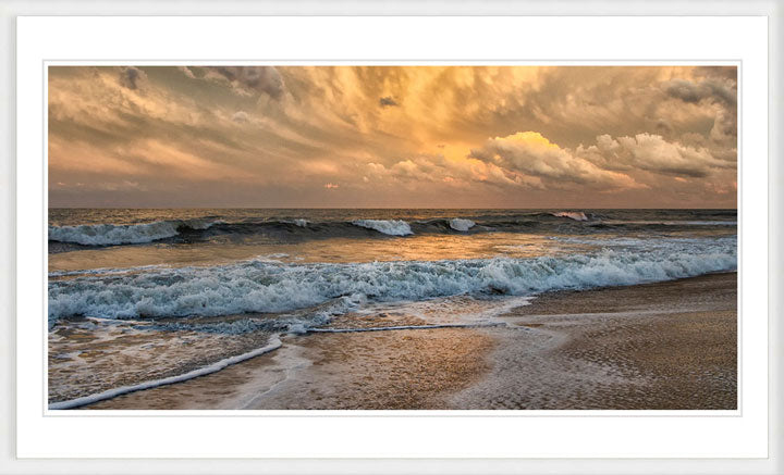 "Gilded" by Eve Turek Photography