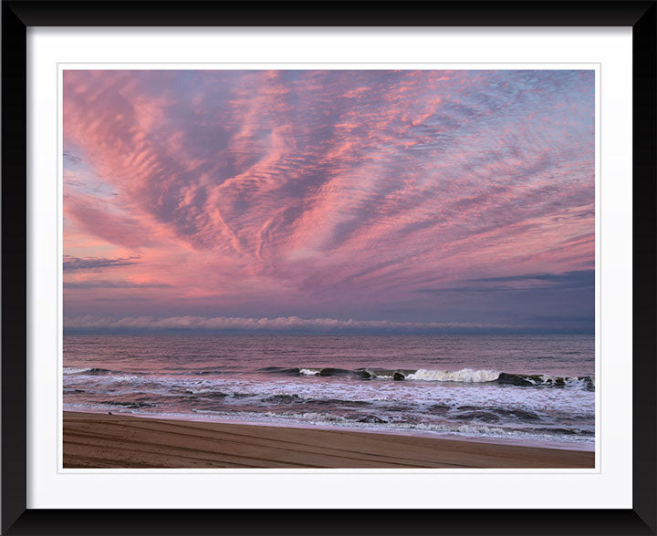 "Amplification" by Eve Turek Photography