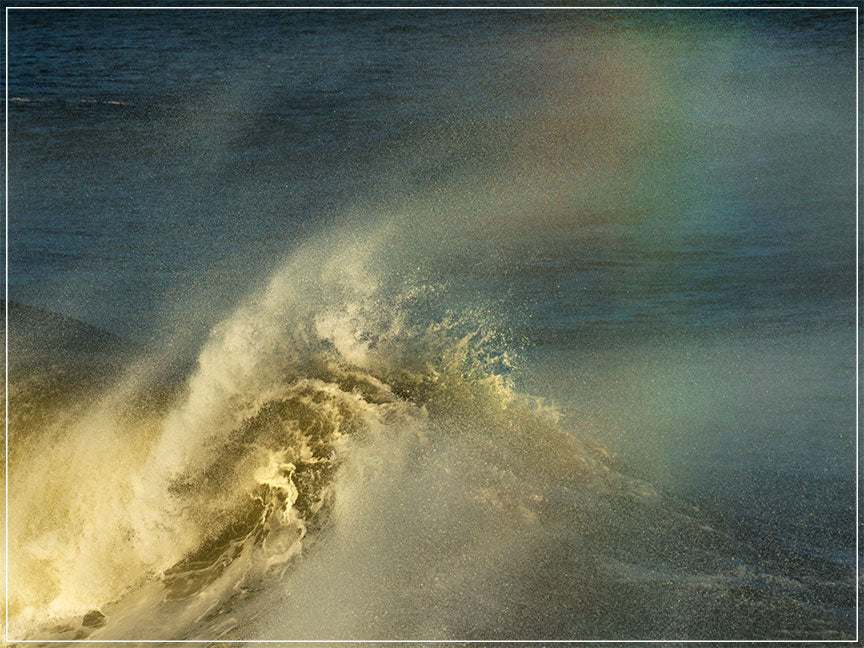 "Legacy" by Eve Turek Photography