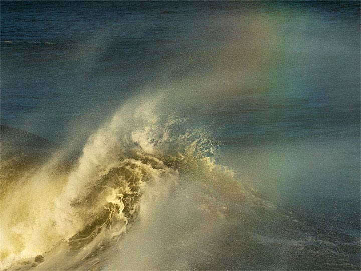 "Legacy" by Eve Turek Photography