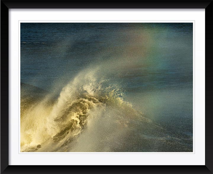 "Legacy" by Eve Turek Photography