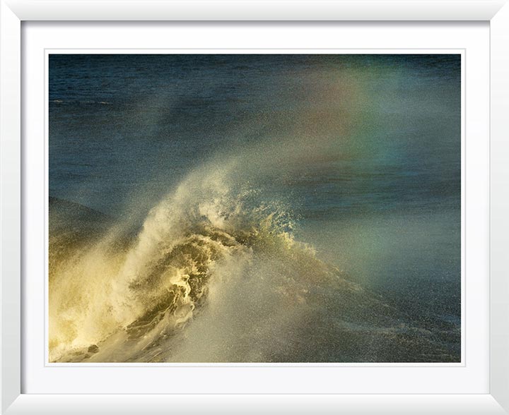 "Legacy" by Eve Turek Photography