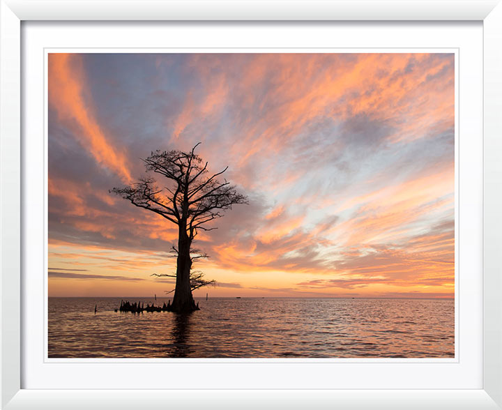 "Holy Ground" by Eve Turek Photography