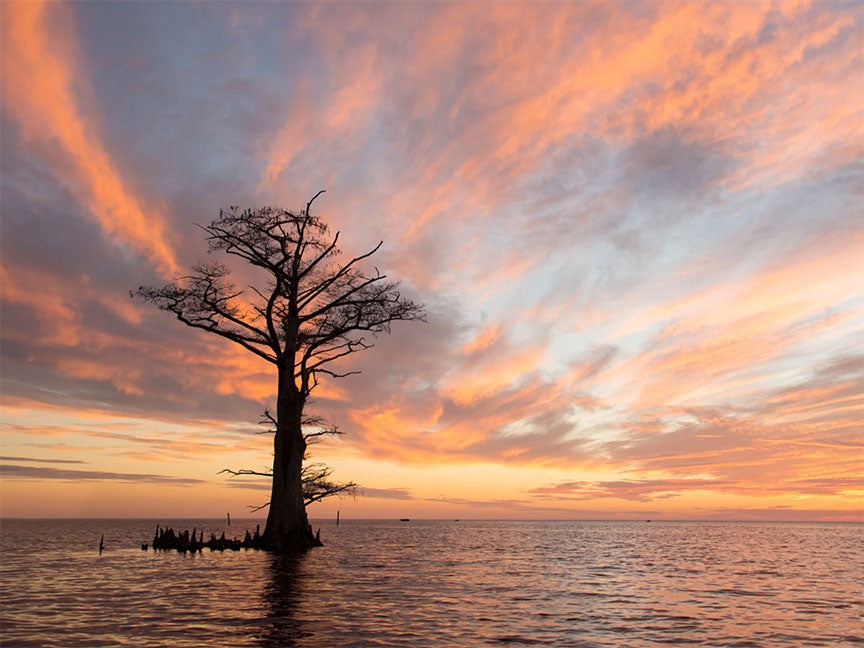 "Holy Ground" by Eve Turek Photography